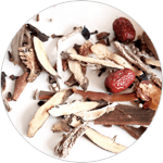 中藥材標本查詢Button圖示